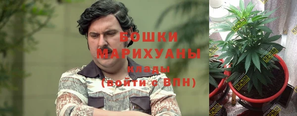 не бодяженный Тобольск