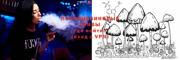 молекула духа Тихорецк