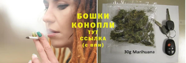 молекула духа Тихорецк