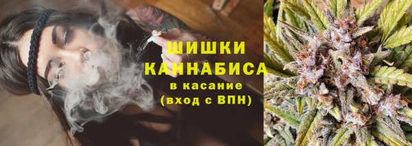 не бодяженный Тобольск