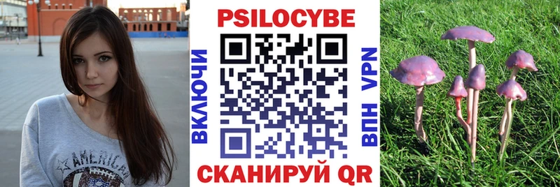 дарнет шоп  Черняховск  Галлюциногенные грибы прущие грибы 