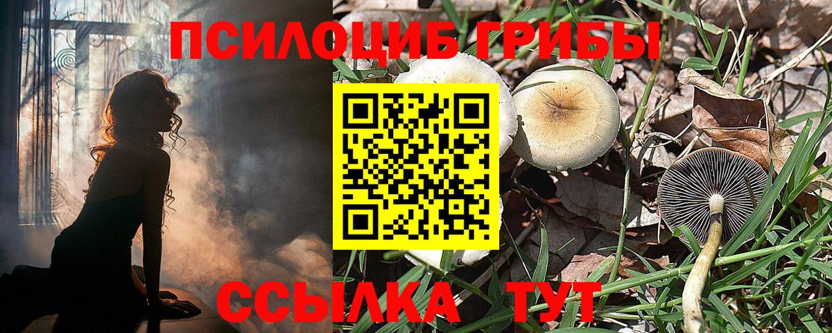 Псилоцибиновые грибы мухоморы  Галлюциногенные грибы Cubensis  Черняховск 