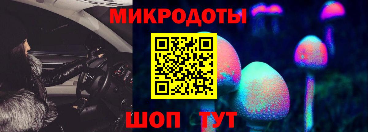 Галлюциногенные грибы мицелий Черняховск